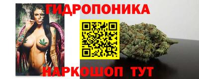 дживик Новодвинск