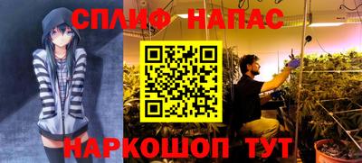 дживик Новодвинск